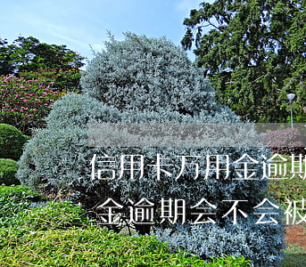 信用卡万用金逾期会不会被起诉(信用卡万用金逾期会不会被起诉)