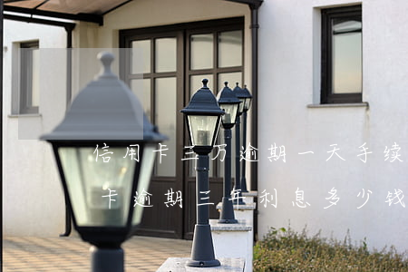 信用卡三万逾期一天手续费(3000元信用卡逾期三年利息多少钱)