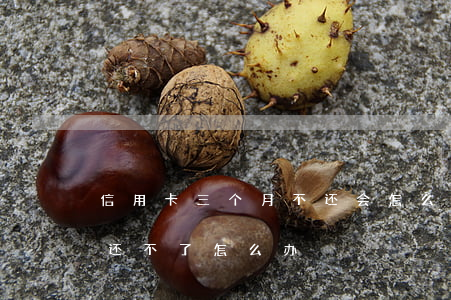 信用卡三个月不还会怎么样(欠信用卡三个月还不了怎么办)