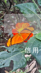 信用卡三个月逾期一直在还