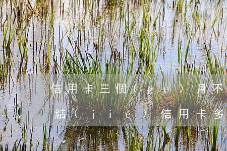 信用卡三個(gè)月不還會(huì)凍結(jié)(信用卡多久不還會(huì)被凍結(jié))
