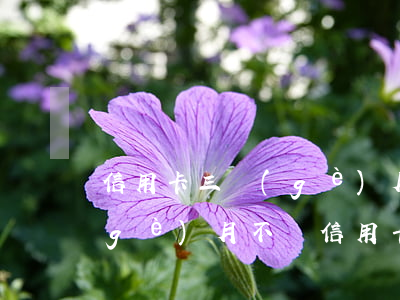 信用卡三個(gè)月不還還能用嗎(兩個(gè)月不還信用卡)