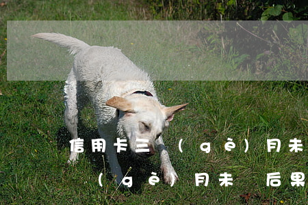 信用卡三個(gè)月未還后果-信用卡三個(gè)月未還后果是什么