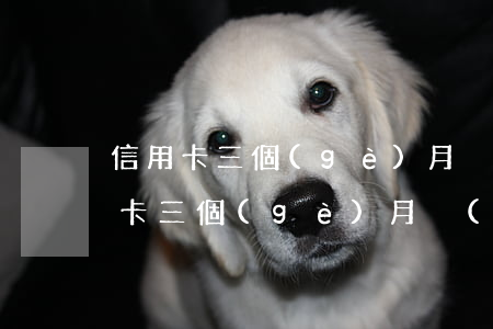 信用卡三個(gè)月沒(méi)還(信用卡三個(gè)月沒(méi)還銀行會(huì)怎么處理)