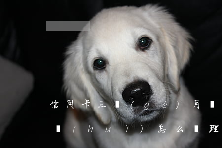 信用卡三個(gè)月沒(méi)還銀行會(huì)怎么處理-信用卡三個(gè)月沒(méi)還銀行會(huì)怎么處理呢