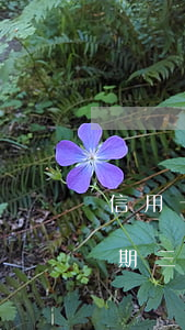 信用卡三個月不能逾期兩次(每個月信用卡逾期三天)