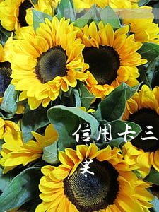 信用卡三個月處于逾期(三個月信用卡逾期后果)