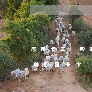信用卡三個月逾期幾塊錢(信用卡逾期三個月利息是多少)