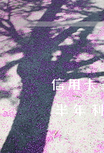 信用卡三個月逾期從哪天算(信用卡3萬逾期半年利息怎么算)