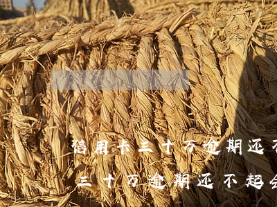 信用卡三十万逾期还不起会判刑吗-信用卡三十万逾期还不起会判刑吗知乎
