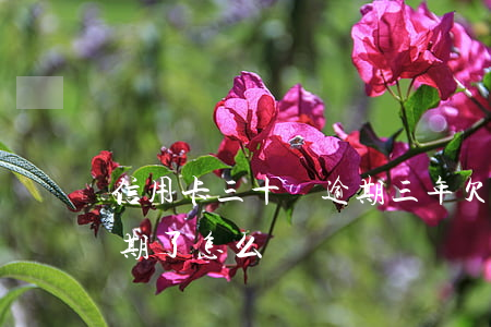信用卡三十萬逾期三年(欠信用卡三十幾萬逾期了怎么辦)