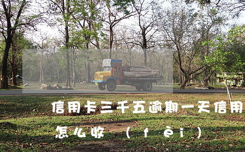 信用卡三千五逾期一天(信用卡3萬逾期一天怎么收費(fèi))