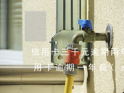 信用卡三千元逾期兩年 三萬(wàn)元信用卡逾期一年長(zhǎng)多少