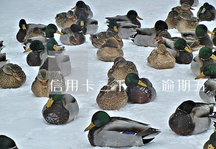 信用卡三千塊錢逾期五個月