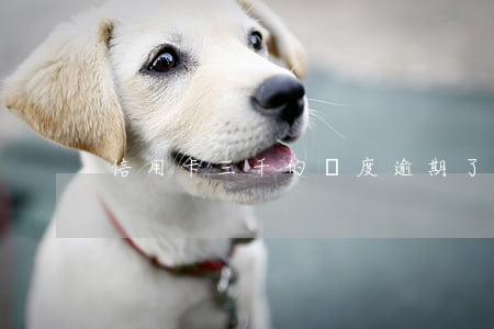信用卡三千的額度逾期了會坐牢嗎