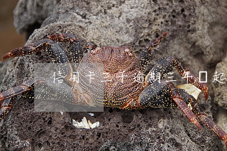 信用卡三千逾期三年會起訴嗎