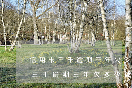 信用卡三千逾期三年欠多少錢利息-信用卡三千逾期三年欠多少錢利息最低