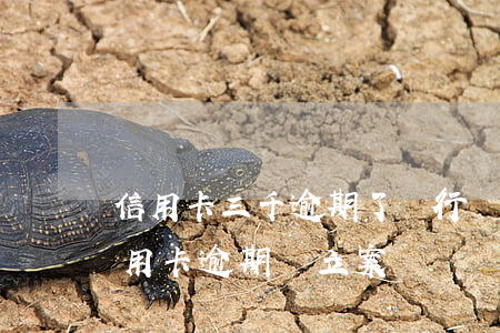 信用卡三千逾期了銀行會上訴嗎(3萬以下信用卡逾期會立案嗎?)