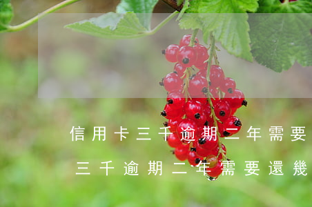 信用卡三千逾期二年需要還幾多錢-信用卡三千逾期二年需要還幾多錢呢