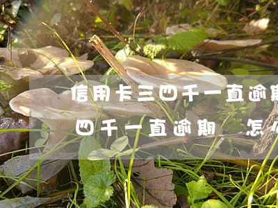 信用卡三四千一直逾期會怎么樣-信用卡三四千一直逾期會怎么樣嗎
