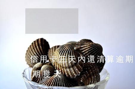 信用卡三天內還清算逾期嗎(還信用卡可以逾期幾天)