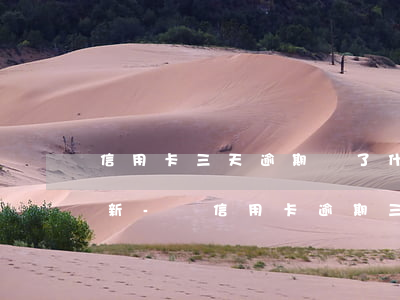信用卡三天逾期還了什么時(shí)候更新-還信用卡逾期三天影響征信嗎