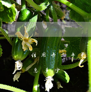 信用卡三年不还利息多高(信用卡一年不还利息多少)