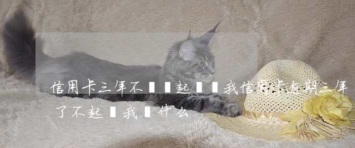 信用卡三年不還會起訴嗎(我信用卡逾期三年了不起訴我為什么)