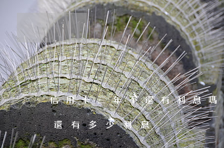 信用卡三年不還有利息嗎(信用卡三千三年不還有多少利息)