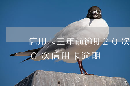 信用卡三年前逾期20次怎么辦(兩年前有10次信用卡逾期)