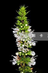信用卡三年前逾期4次 欠信用卡逾期3年