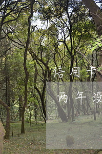 信用卡三年欠二千元(3000块钱的信用卡两年没还)
