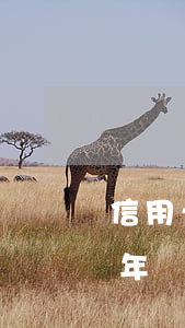 信用卡三年沒有逾期可以貸款么嗎（信用卡三年沒有逾期可以貸款么）