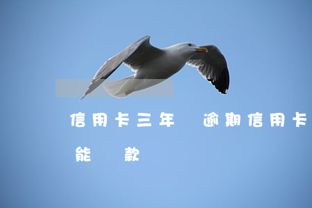 信用卡三年沒逾期(信用卡三年沒逾期5次還能貸款嗎)