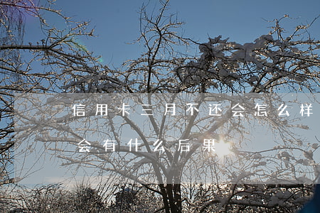 信用卡三月不还会怎么样(信用卡三个月不还会有什么后果)