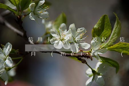 信用卡三月不還被起訴(信用卡3個(gè)月沒(méi)還會(huì)被起訴嗎)