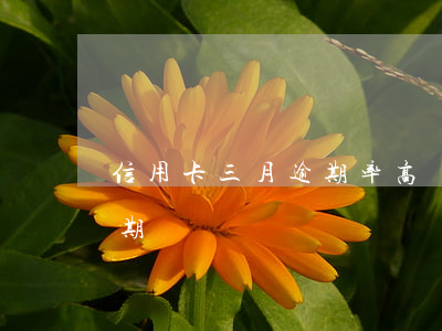 信用卡三月逾期率高嗎-信用卡3個月內逾期