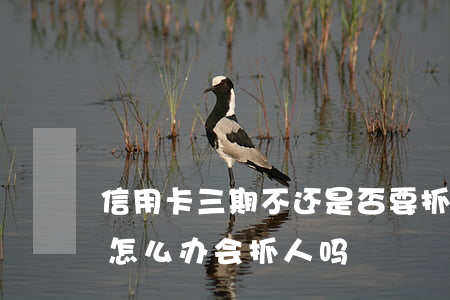 信用卡三期不还是否要抓人(欠信用卡4个月怎么办,会抓人吗?)