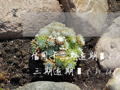信用卡三期逾期會(huì)怎么樣(信用卡三期逾期會(huì)怎么樣)