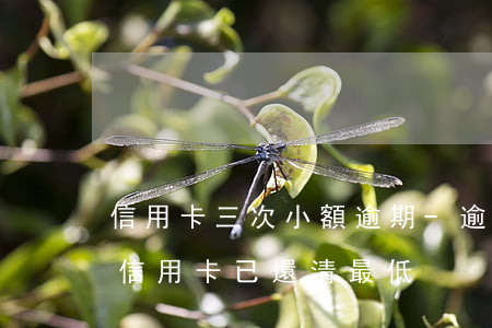 信用卡三次小額逾期-逾期三個(gè)月信用卡已還清最低