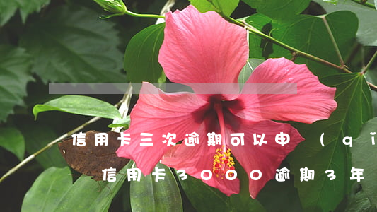 信用卡三次逾期可以申請(qǐng)深戶嗎 信用卡3000逾期3年會(huì)上門嗎