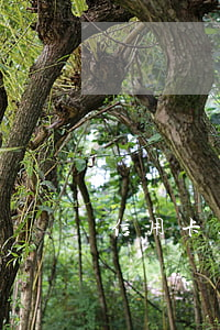 信用卡三次逾期影響房貸嗎(3次逾期影響房貸嗎)
