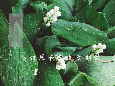 信用卡三次逾期能貸款嗎(信用卡逾期三期嚴重嗎)