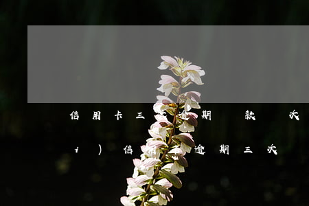 信用卡三次逾期貸款兩次逾期(一年內(nèi)信用卡逾期三次)