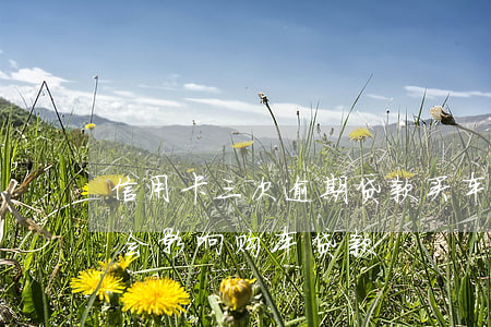 信用卡三次逾期贷款买车(信用卡有几次逾期会影响购车贷款)