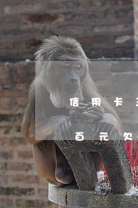 信用卡三百元欠十年要交多少錢-信用卡三百元欠十年要交多少錢利息
