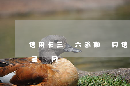 信用卡三萬六逾期兩月 信用卡6000逾期三個月