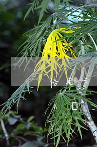 信用卡三萬每個月逾期7(信用卡逾期3萬變6萬)