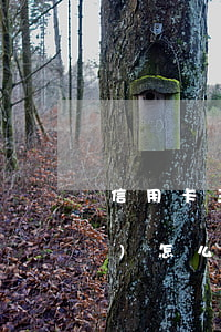 信用卡三萬逾期5個(gè)月會(huì)怎么樣-信用卡三萬逾期5個(gè)月會(huì)怎么樣嗎