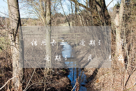 信用卡三萬逾期5個月會怎么樣嗎（信用卡三萬逾期5個月會怎么樣）